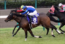 JRA「短距離王」ファインニードル引退。ダーレーの「思惑」と不完全燃焼の香港