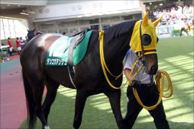 JRAイチの「クセ者」デンコウアンジュ取捨が難解すぎ!? 軽視できない「リピーター」の強さ