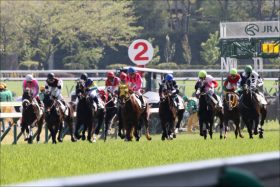 JRA北九州記念（G3）は3点で十分！ 貴重な現場情報でお盆もウハウハ？