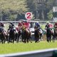 JRA最強良血馬ついに初陣! フランケル×デインドリームの不安要素