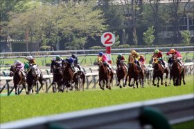 JRA暴走王「ミッキーアイル2世」がデビュー戦で斜行……2016年マイルCSの”悪癖”継承で松若風馬騎手は騎乗停止処分