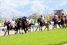 JRA最強オジュウチョウサンが武豊鞍上になった理由……「オーナーの感動」と「最後のチャンス」に期待