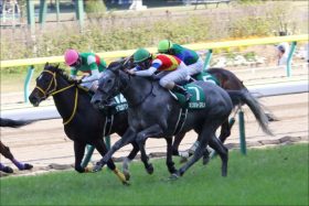 【七夕賞（G3）展望】福島競馬名物「大穴大荒れ重賞」は今年も健在!? 難解なメンバーが顔を揃える熱戦を制するのは？