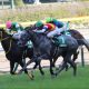 エプソムC(G3)JRA「美浦関係者称賛」2頭で決まり!? 「自信の2頭出し厩舎」に要注意