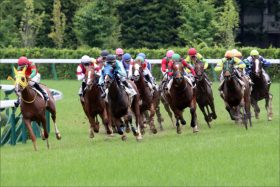 JRA短距離北九州記念（G3）は武豊から……!? 関係者情報「至極の4頭」で楽勝か