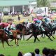 JRA「2歳女王」レシステンシアも危ない!? 「絶不調」騎手に「青天霹靂」アウィルアウェイ新コンビで高松宮記念(G1)へ!