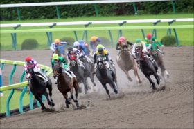 米国三冠馬の仔カフェファラオ「10馬身差」圧勝デビュー！ 朝日杯FS「大本命」サリオスの堀厩舎からダートも超大物登場！