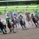 JRA初開催JBCで万馬券祭り!誰もが知る馬券長者の衝撃情報で一獲千金を狙え!