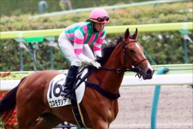 関東リーディング18位！進化を続ける藤田菜七子、馬券の狙いどころとは