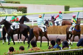 JRA新馬戦キングカメハメハ産駒は要注意？　今週の新馬戦、注目の一頭