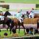 JRA G1「7勝馬」全弟に「代打騎乗」も“崖っぷち”騎手が喜べない事情!? 引退騎手から“逆に”引導を渡される可能性も……