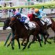 JRA荻野極と横山武史が「誤爆」で一触即発!?「ふざけんな!ナメてんのか!」1番人気大敗の腹いせにタオル投げるも……