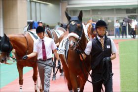 JRA「アドマイヤ最後の大物」が武豊ワールドプレミアと互角!? 2億3000万円「超良血馬」年末デビューか