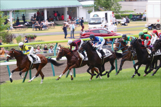 JRA「2億5000万円馬」トーセンカンビーナに藤岡康太が乗り続けられる理由。「伝説の新馬戦」から2年、ついに大舞台への画像1