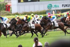 JRA 七夕賞（G3）水樹“奈々”結婚も枠連「7-7」は「トラップ」!? 声優結婚ラッシュで福島適性バツグンの伏兵が急浮上!!
