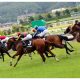 JRA 「生存者なし」WIN5ラストキャリーオーバーから1年! 波乱を演出した“3頭”が揃い踏み! 今年の主役はアドマイヤジャスタ、メイケイダイハードでもなくあの馬
