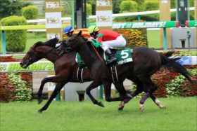 小倉記念（G3）は「400円」で「穴馬券」狙い！ 強力「関係者情報」で混戦必至ハンデ重賞の攻略に挑む!!