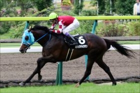 武豊オジュウチョウサンVS「12冠ベビー」可能性も…… 夢の南部特別実現なるか？