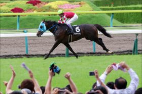 JRA平地オジュウチョウサン「ジャパンC回避」は大正解!? 有馬記念（G1）直行報道にファンが”残念”ではなく「安堵」する理由