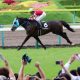 武豊「暴論」に隠された真意。史上初JRA開催”失敗”に「慣れの問題」世界を知るレジェンドの見解とは