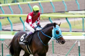 JRA有馬記念（G1）武豊オジュウチョウサン〇番手評価！ 極秘ネタからレイデオロ超える「本命」も発見!!