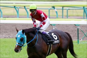 武豊オジュウチョウサン「問題発覚」有馬記念（G1）出走に黄色信号!? オーナーが託した「秘策」に潜む罠