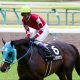 JRA「3歳最強へ」オメガパフュームが古馬と激突! ルヴァンスレーヴ再戦まで負けられない