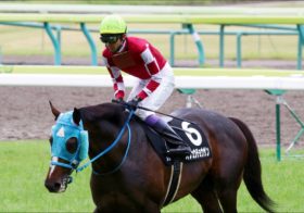 JRAオジュウチョウサン中山GJ「5連覇」達成！ 2番人気シングンマイケル競走中止、勝ち時計「5分」を超える死闘