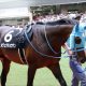 有馬記念(G1)M.デムーロ「完全復活」で本命レイデオロ危うし!? 朝日杯FSアドマイヤマーズ完璧騎乗で今週も「ルメール狩り」なるか