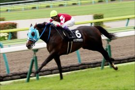 昨年「有馬記念の武豊キタサンブラック以上」の名勝負！ 中山大障害（G1）でオジュウチョウサンに「大本命」アップトゥデイトが力を示す！