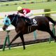 JRA関係者絶賛「地方の天才」森泰斗躍動! 日曜「11鞍騎乗」キタサンミカヅキでも魅せた