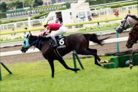 有馬記念（G1）平成最後に「異常事態」？ 元年以来の雨、オジュウチョウサンの「周囲」慌ただしく……