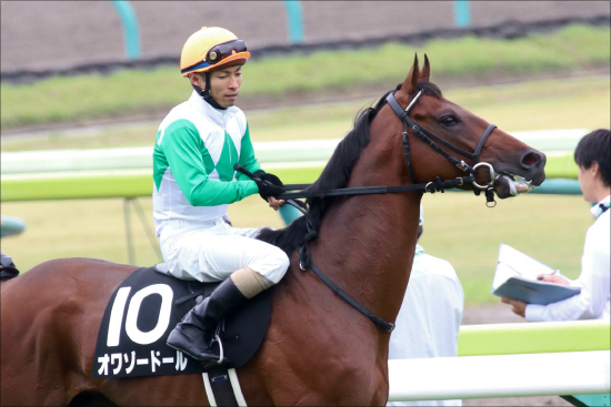 JRA内田博幸「崖っぷち」人柄はともかく「早くエージェントつけて」心配で見ていられない？の画像2