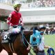 JRAスプリント王レッドファルクス復活に赤信号!?  代打・戸崎圭太騎手は意地を見せることができるか?