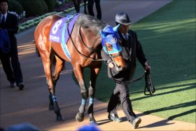 JRA皐月賞（G1）「新生」岩田康誠×アドマイヤジャスタが怖すぎる。末脚炸裂で一刀両断も？