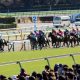 JRA藤井勘一郎「即重賞制覇」も!? ロードカナロアの血ブランノワールがチューリップ賞(G2)をかき乱す!