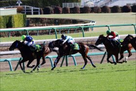 JRAホープフルS（G1）ブラックホール「札幌と同じ」順調さ！ 石川裕紀人騎手と共に初G1制覇で来年のクラシック候補筆頭に！