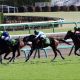 JRAフェアリーS(G3)「安定型」重視の関係者情報予想! 1人気アマーティも不安が