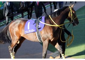 JRAセントライト記念（G2）ニシノデイジー「奇跡の血統」が秋に開花するか