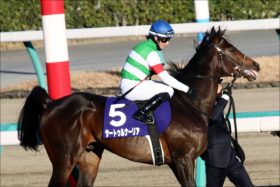 JRAサートゥルナーリア×ルメールは皐月賞直行！　過去を覆すための秘策は……？