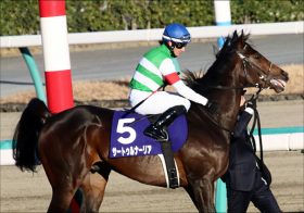 JRA皐月賞（G1）サートゥルナーリア状態は？ 栗東関係者が語る「おすすめ馬」に注目