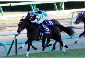 JRA皐月賞（G1）サートゥルナーリアはグランアレグリアにあらず？「ぶっつけ本番」に懸かるノーザンファームしがらきの威信