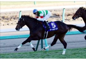 JRA皐月賞【最終追い切り】サートゥルナーリア「G1級」シャケトラ完封！「皐月賞、ダービー勝てる」C.ルメール騎手も超強気！