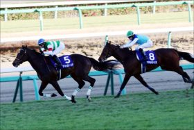 【皐月賞（G1）枠順確定】JRA平成ラストクラシックでサートゥルナーリア枠は？ 武豊ファンタジストは歓喜？