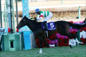 JRA「非情」サートゥルナーリアはルメールに。デムーロがっくり？