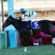 JRA藤田菜七子「2桁着連発」新ルール適用まで我慢の時?