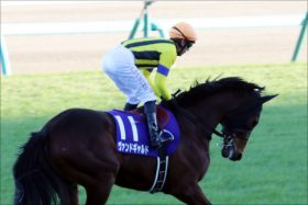 JRAきさらぎ賞（G3）デムーロ強化で期待大ヴァンドギャルド！ 藤原厩舎の筆頭格