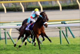 香港競馬「JRA」を反面教師に警告!? 「日本のようになるな」香港国際競走「地元勢全勝」の快挙も手放しで喜べない理由