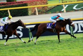 JRA最強アーモンドアイ「国内」見納め？ 来年の世界挑戦へ「2000m、公平な馬場、勝つのは誰」エネイブル、ウィンクスと投票した結果