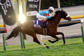 JRAアーモンドアイ「ドバイターフ」に香港調教師ガックリ？ 「レベルが違う」香港史上最強マイル王から逃亡も、今度は日本最強女王に……